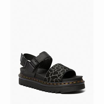 Dr Martens Voss Animal Print Kožené Strap - Cierne Sandale Damske, D395SK